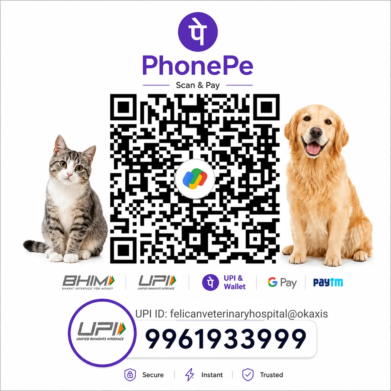 Hello Felican online consultation UPI payment QR code