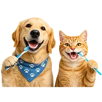 Pet Dentistry