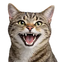 Pet dental care icon