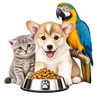 Pet diet guidance icon