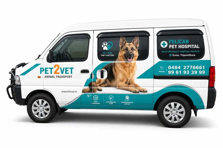 Veterinary checkup support from Felican