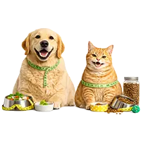 Nutrition and Diet